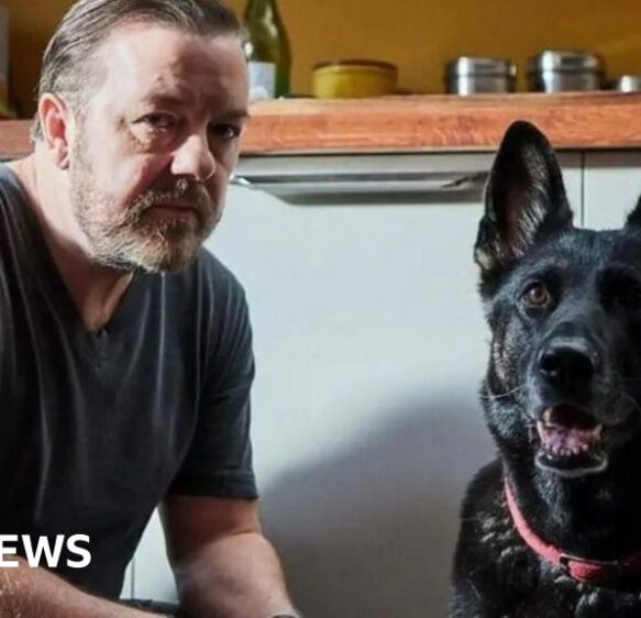 Ricky Gervais donates £2.5m to animal charities