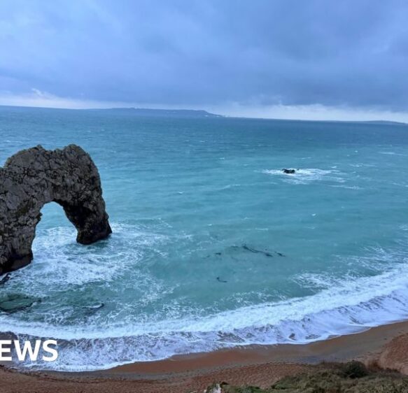 This week’s images from the south of England