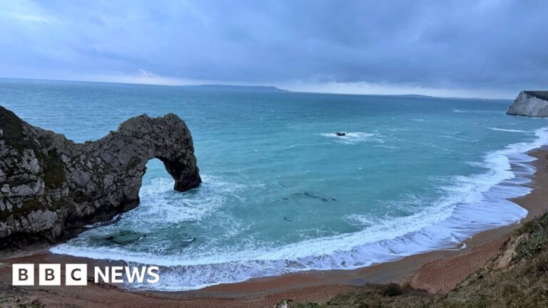 Read more about the article This week’s images from the south of England