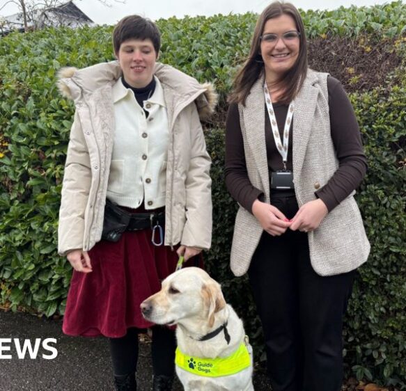 New website launched for young people in Somerset with disabilities