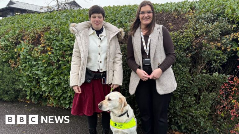 Read more about the article New website launched for young people in Somerset with disabilities