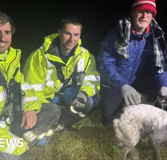 Jurassic Coast cliff rescue for missing spaniel Willow