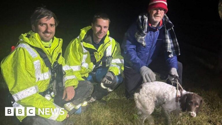Read more about the article Jurassic Coast cliff rescue for missing spaniel Willow