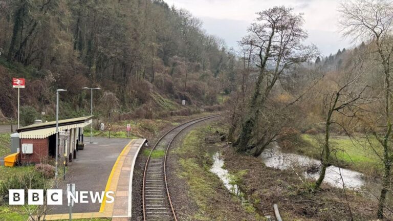 Read more about the article Floodwater and high tides close the Liskeard to Looe branch line