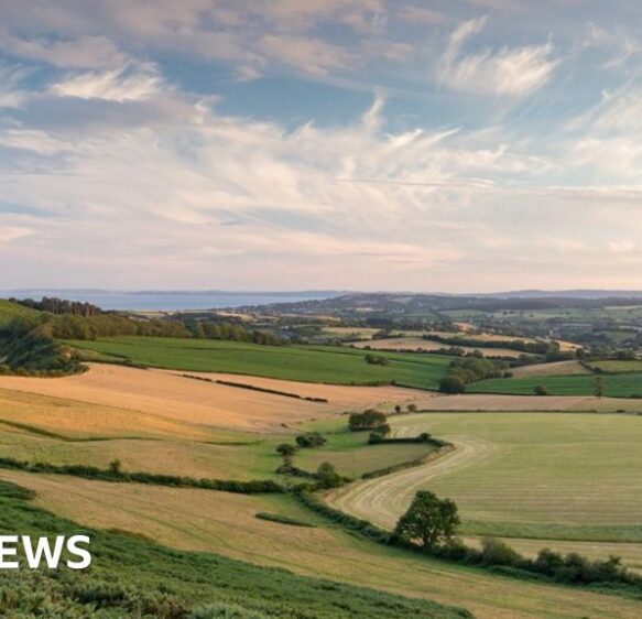 A year of change – Devon politics in 2025