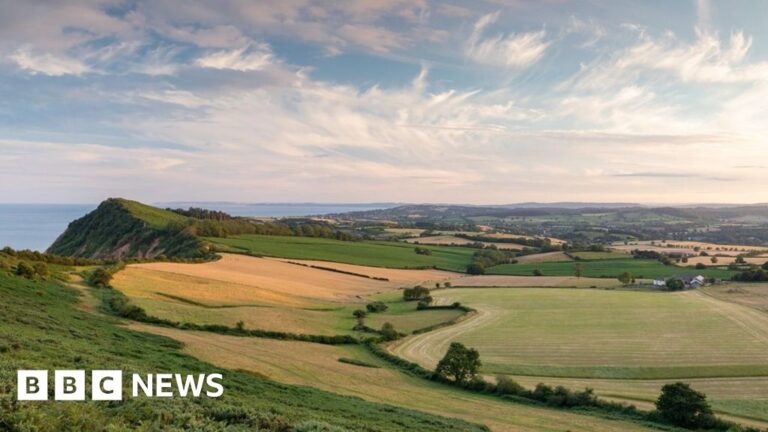 Read more about the article A year of change – Devon politics in 2025