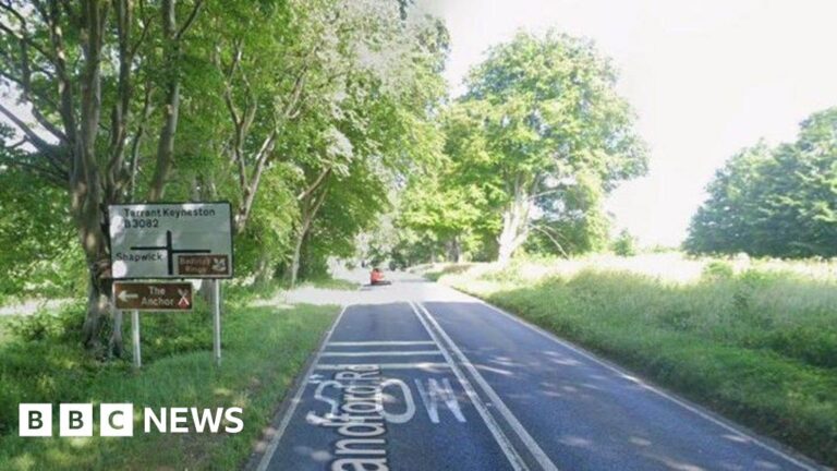 Read more about the article Woman and man killed in SUV crash at Badbury Rings in Dorset
