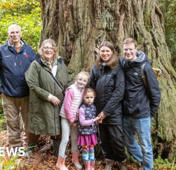 Woman’s 100th birthday marked with giant redwood tree in Cornwall