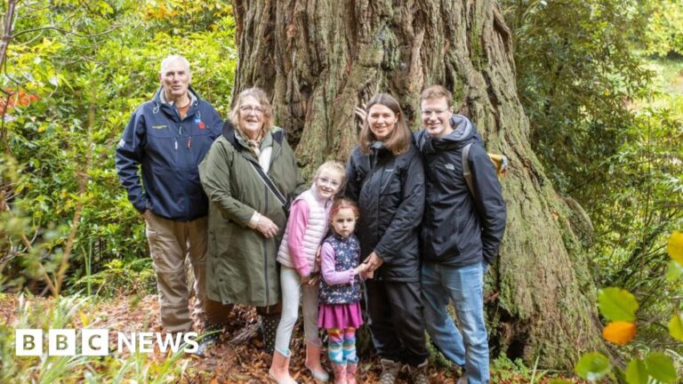 Read more about the article Woman’s 100th birthday marked with giant redwood tree in Cornwall