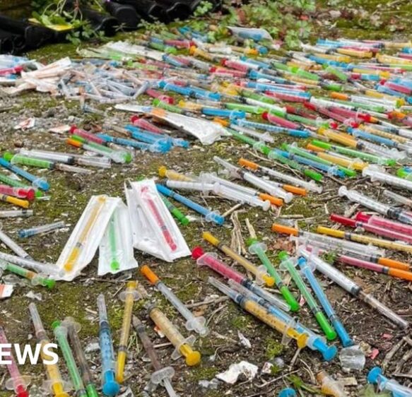 Litter pickers find needles and knives while collecting rubbish