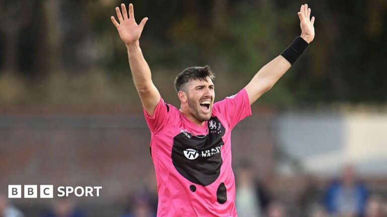 Read more about the article Craig Overton: Somerset all-rounder signs new three-year contract