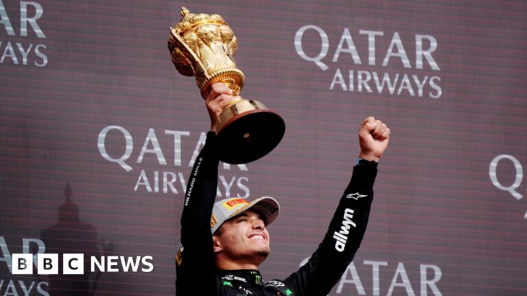 Read more about the article F1 champion Lando Norris honoured with street in Somerset shopping centre