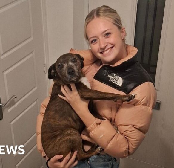 Meningitis B vaccinations calls after Pontypool student, 18, dies