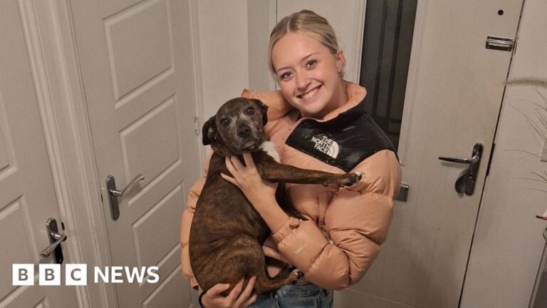 Read more about the article Meningitis B vaccinations calls after Pontypool student, 18, dies