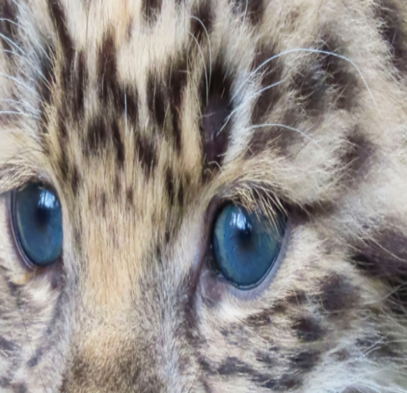 Stories you may have missed