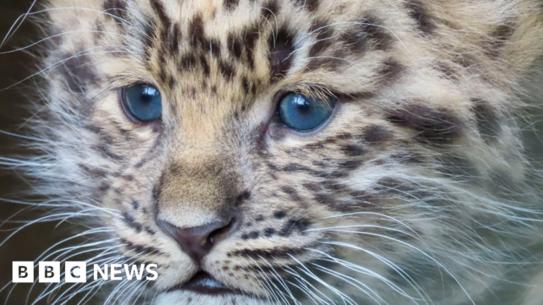 Read more about the article Stories you may have missed