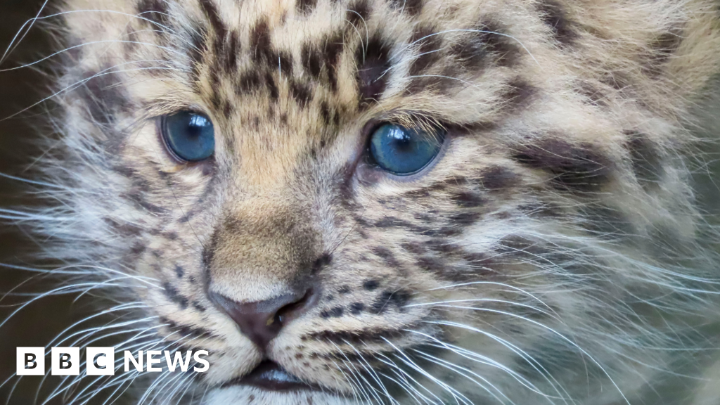 You are currently viewing Stories you may have missed