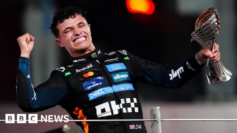 Read more about the article Lando Norris inspires children in Somerset to take up motorsport