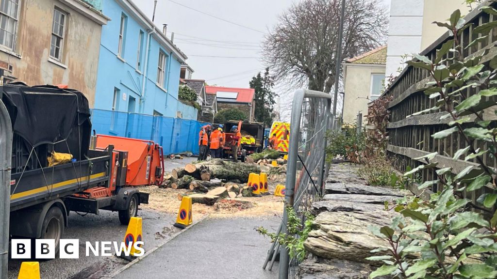 You are currently viewing Protesters and police clash as Falmouth trees cut down