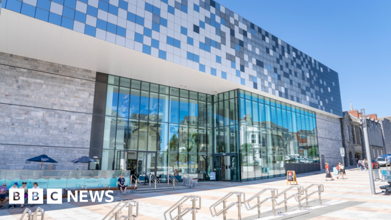 Read more about the article ‘Phenomenal year’ for The Box museum and art gallery in Plymouth