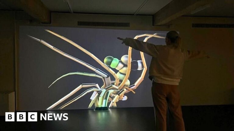 Read more about the article Virtual underwater world comes to life at Poole Museum