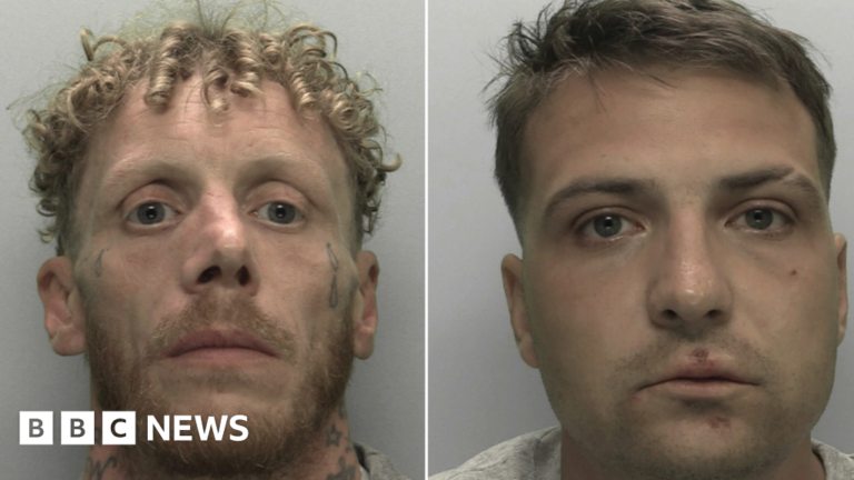 Read more about the article Two men jailed over Taser attack outside Cornwall pub