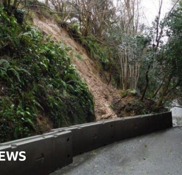 Road closure could be disruptive for Dorset, says councillor