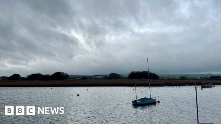 Read more about the article Exe estuary takeover plan sparks fears of new charges