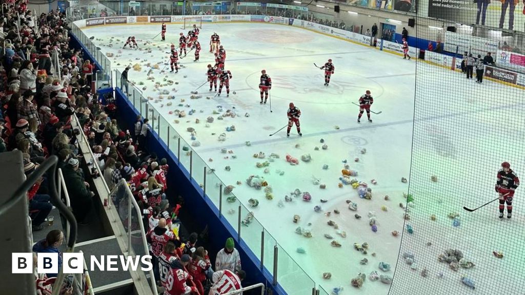 You are currently viewing ‘Ice hockey teddy bear donations’ and ‘singing donkey’