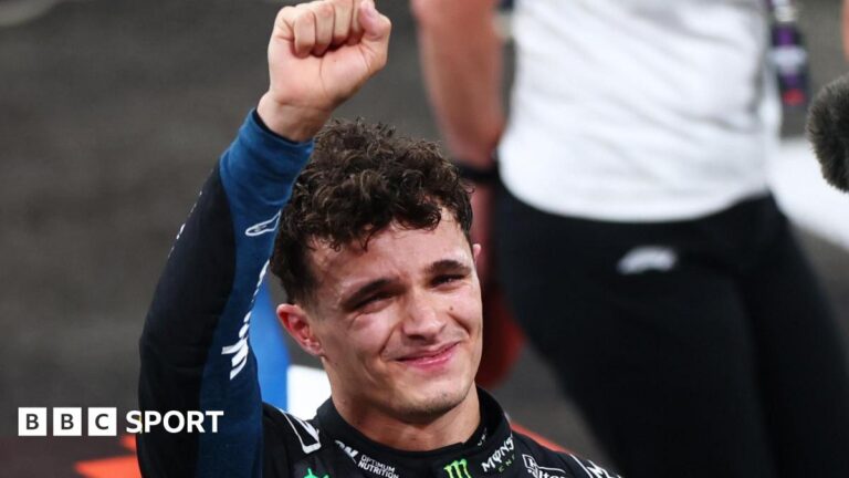 Read more about the article Lando Norris wins F1 drivers’ title in Abu Dhabi Grand Prix won by Max Verstappen