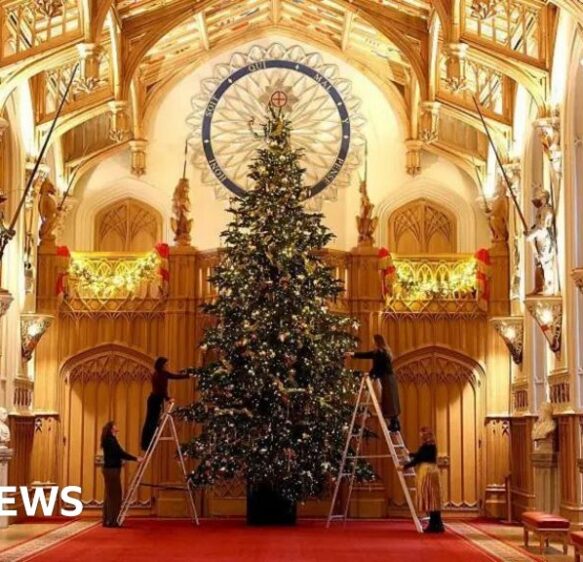 South weekly quiz: How many lights on Windsor Castle's tree?