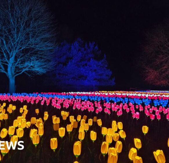 This week’s images from the south of England