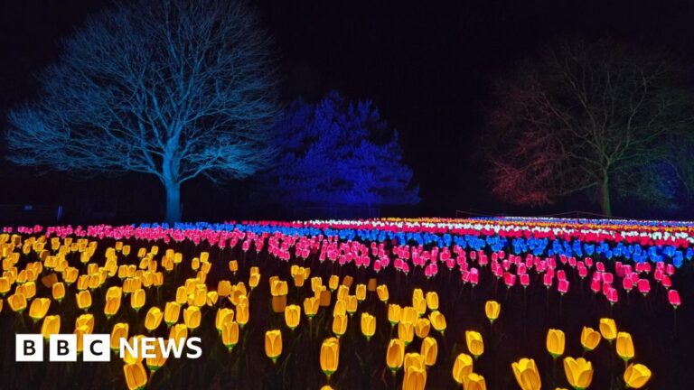 Read more about the article This week’s images from the south of England