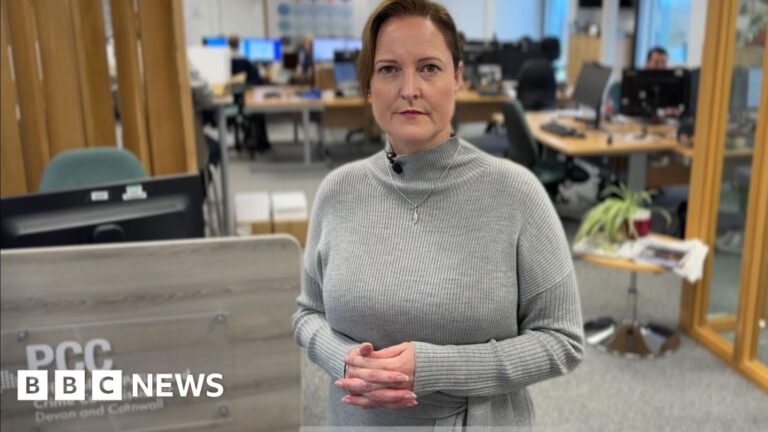 Read more about the article Devon and Cornwall PCC pledges to fight for a directly elected mayor