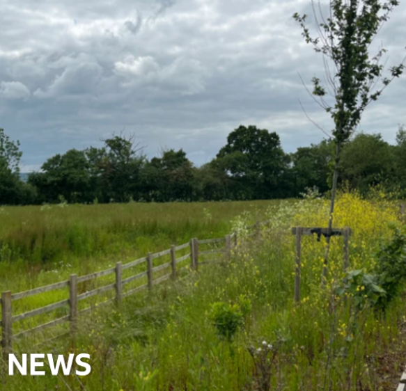 Taunton’s Nexus 25 fielding ‘serious interest’ from developers