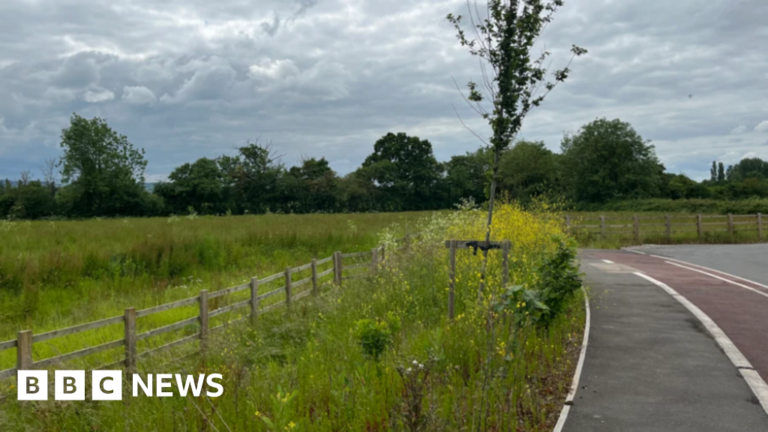 Read more about the article Taunton’s Nexus 25 fielding ‘serious interest’ from developers