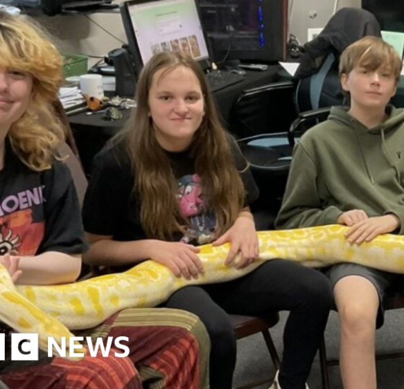 Dorset reptile charity runs free children’s Christmas club