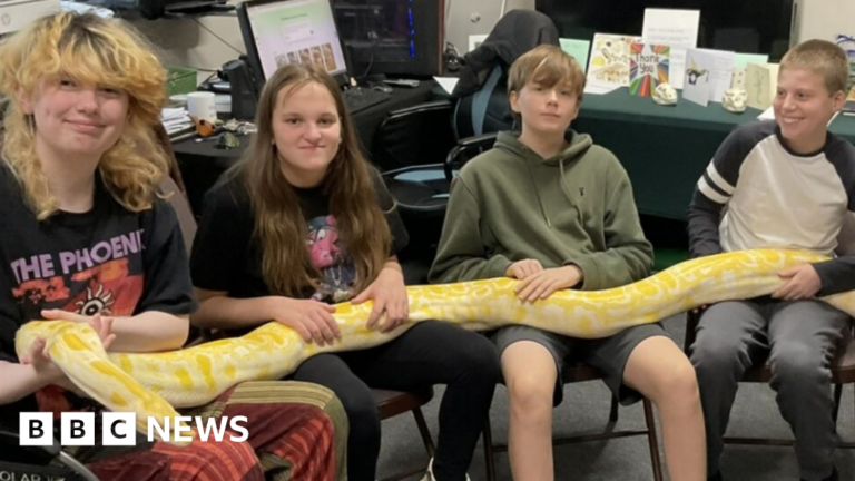 Read more about the article Dorset reptile charity runs free children’s Christmas club