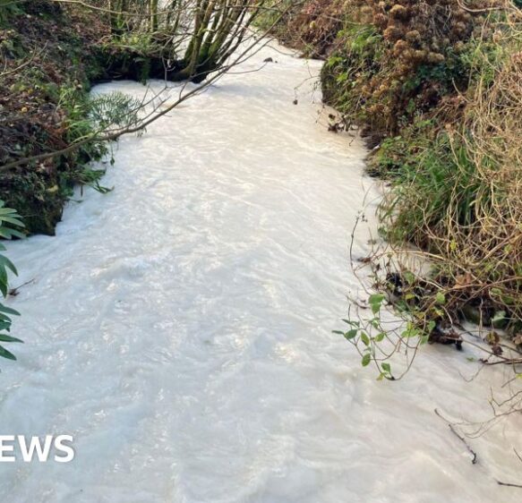 Discharge data review after stream in Coombe turns white