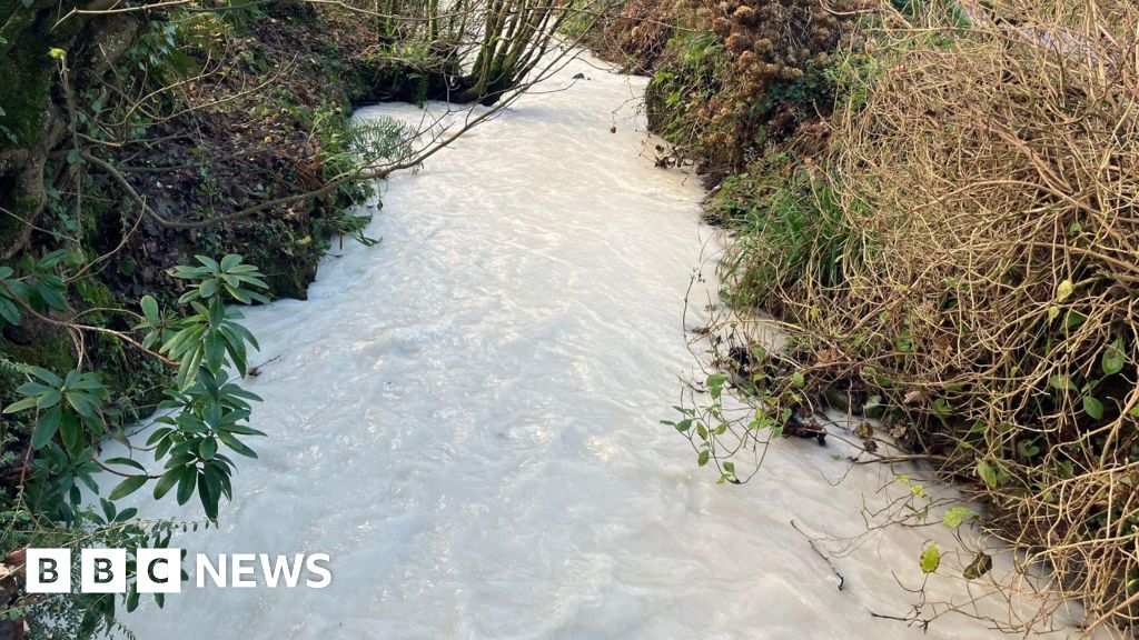 You are currently viewing Discharge data review after stream in Coombe turns white