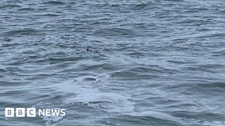 Read more about the article Mystery of message in a bottle found on Devon beach solved