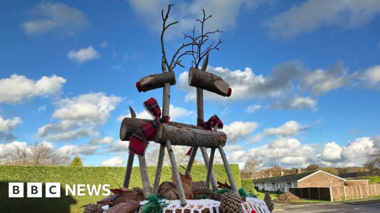 Read more about the article This week’s images from the south of England