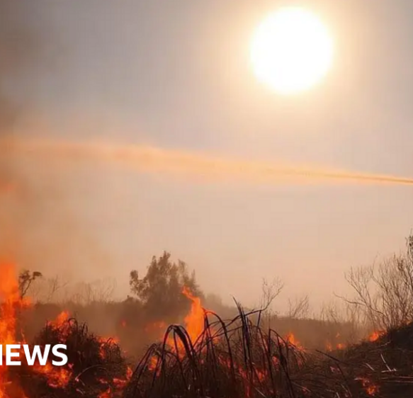 Wildfires push Dorset and Wiltshire Fire Service over budget