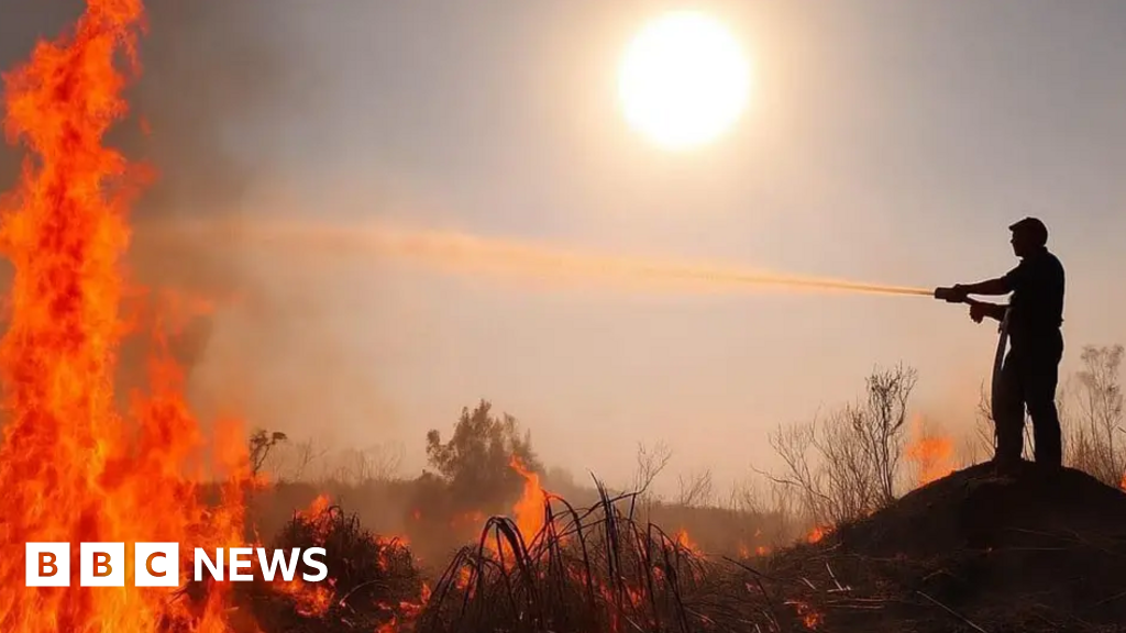 You are currently viewing Wildfires push Dorset and Wiltshire Fire Service over budget