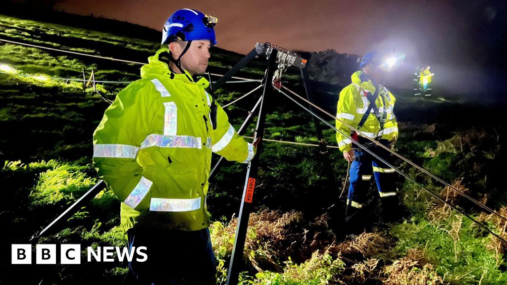You are currently viewing Dog rescued in Devon after falling from cliff