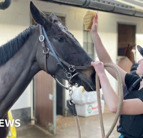 Horse racing workers preparing for busy Christmas