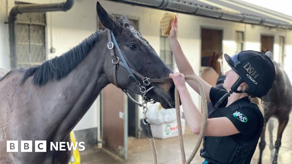 You are currently viewing Horse racing workers preparing for busy Christmas