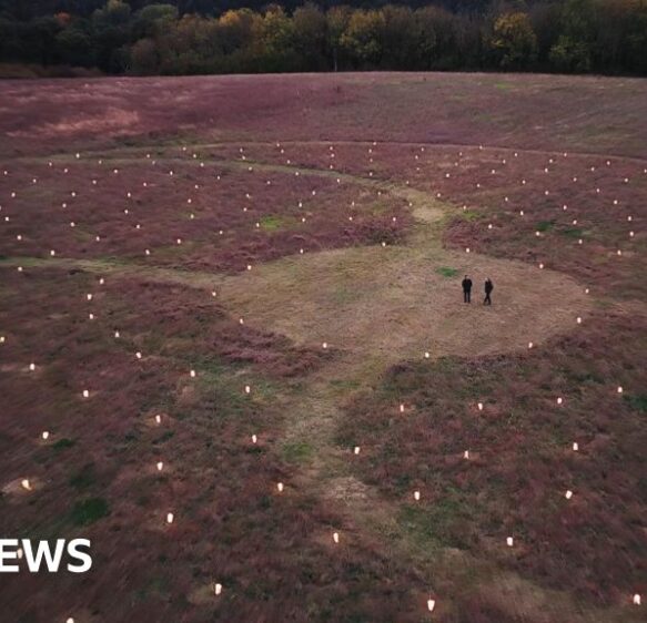 Lanterns reveal scale of Echo Wood living trees artwork
