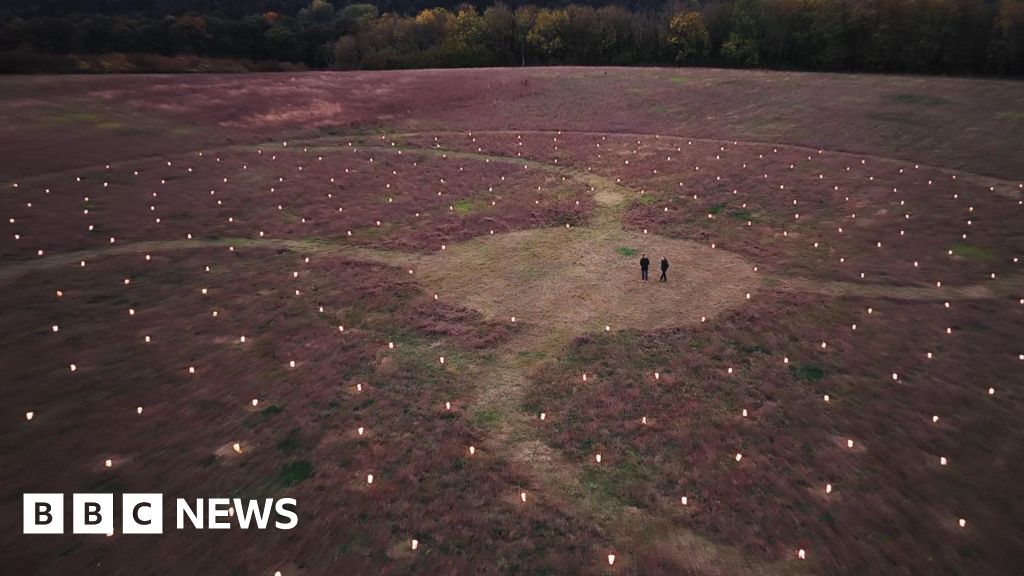 You are currently viewing Lanterns reveal scale of Echo Wood living trees artwork