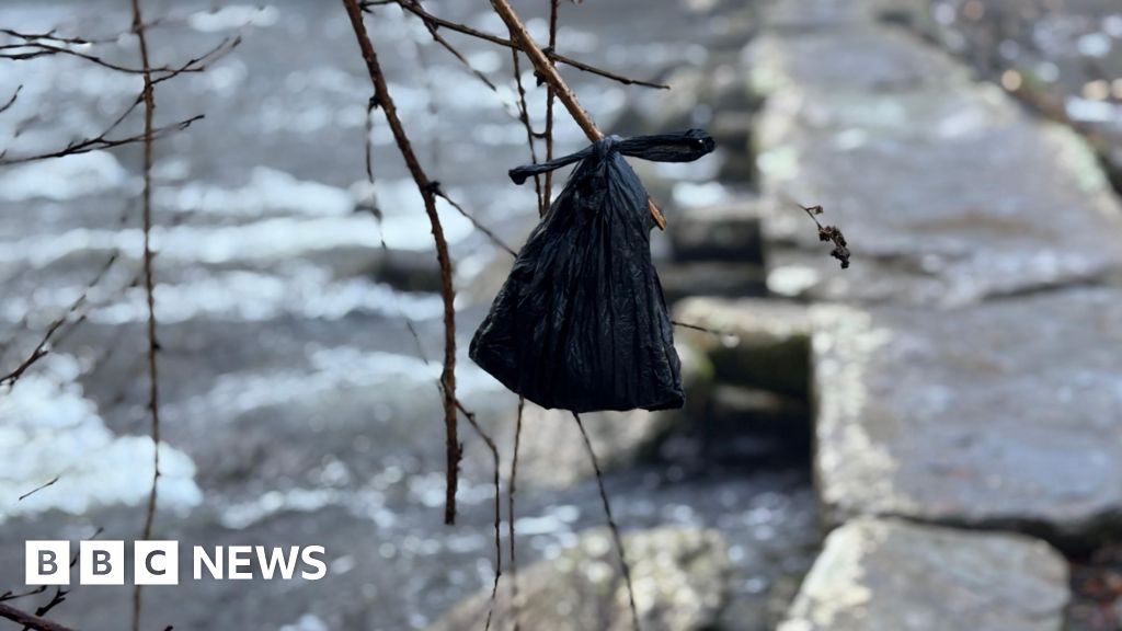 You are currently viewing Plea to Exmoor dog walkers not to ‘decorate’ trees with poo bags